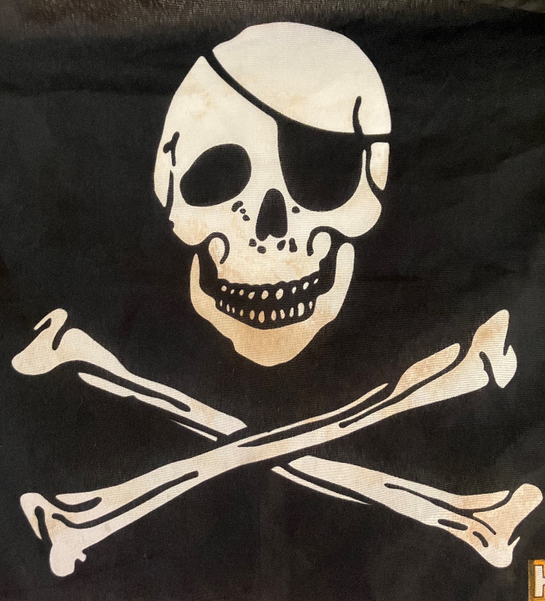 Piratenflagge mit Schädel & Knochen